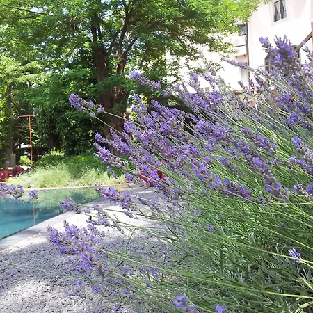 Clocchiatti Next 3* Udine