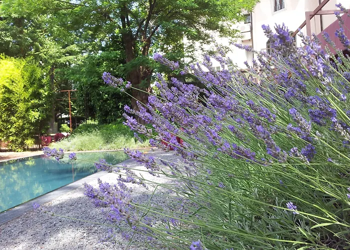 Clocchiatti Next 3* Udine